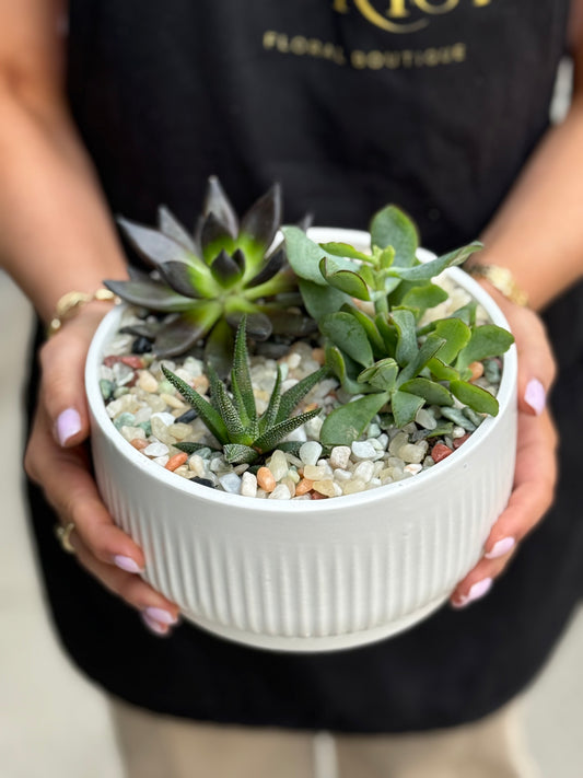 Three Potted