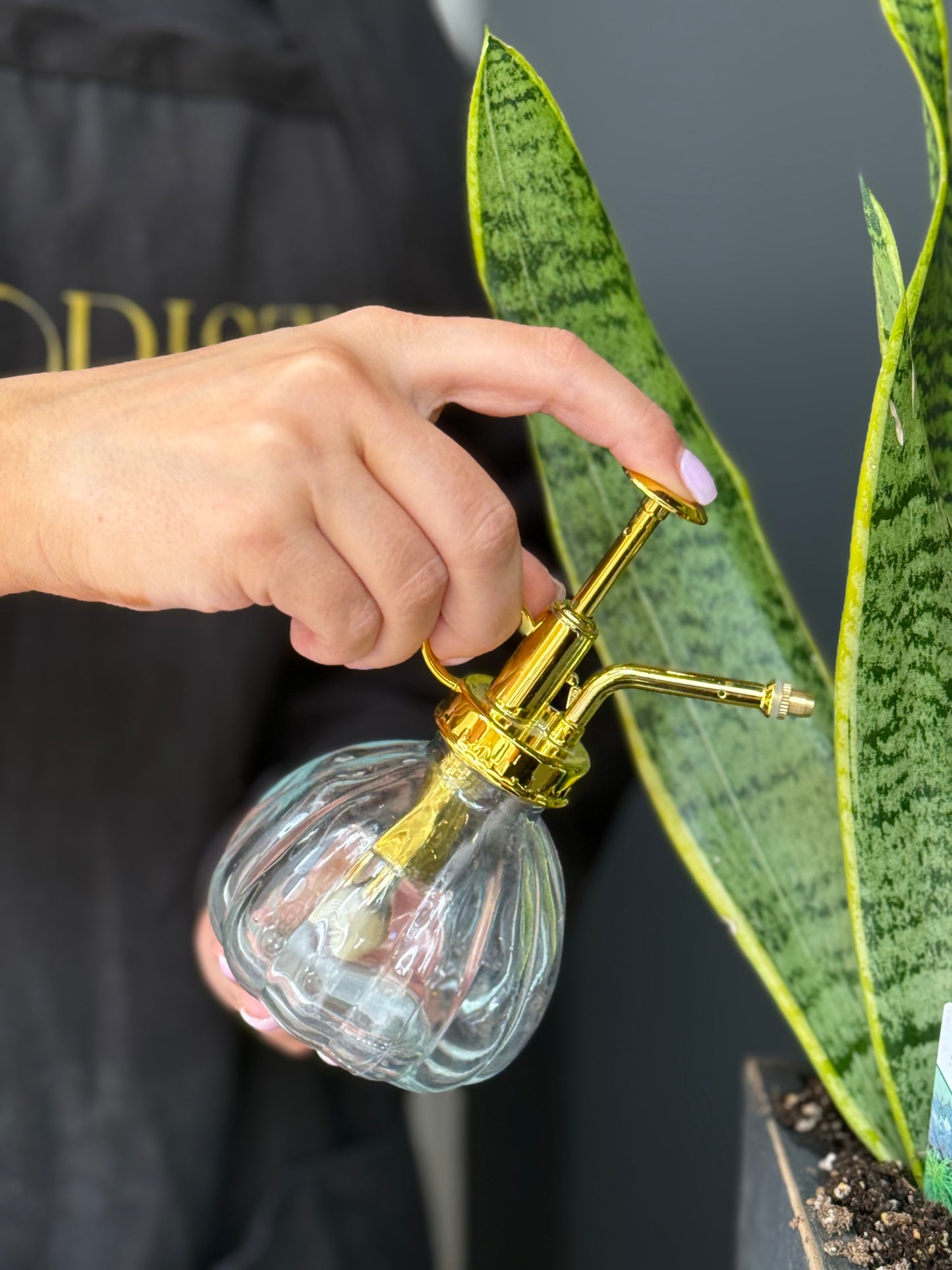 Plant Mister