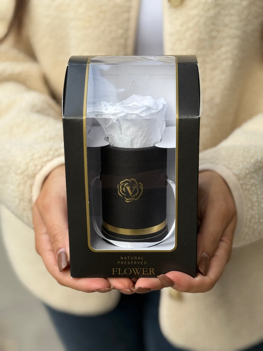 White Preserved Rose