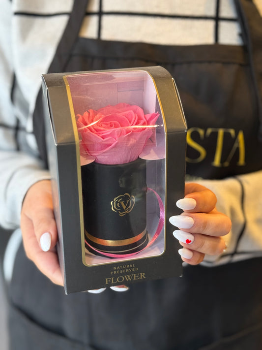 Soft Pink Preserved Rose