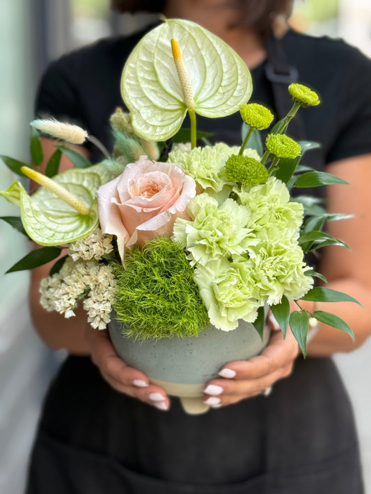 Pistachio Dreams