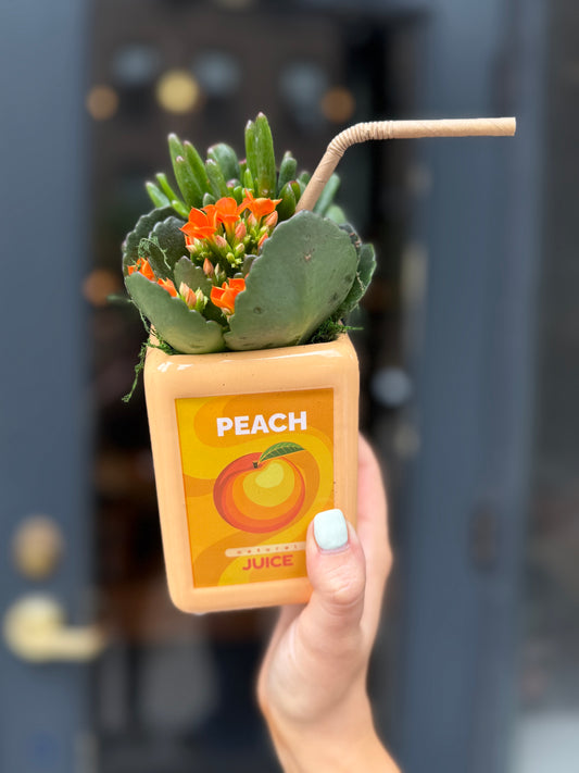 Sweet Sips - Peach