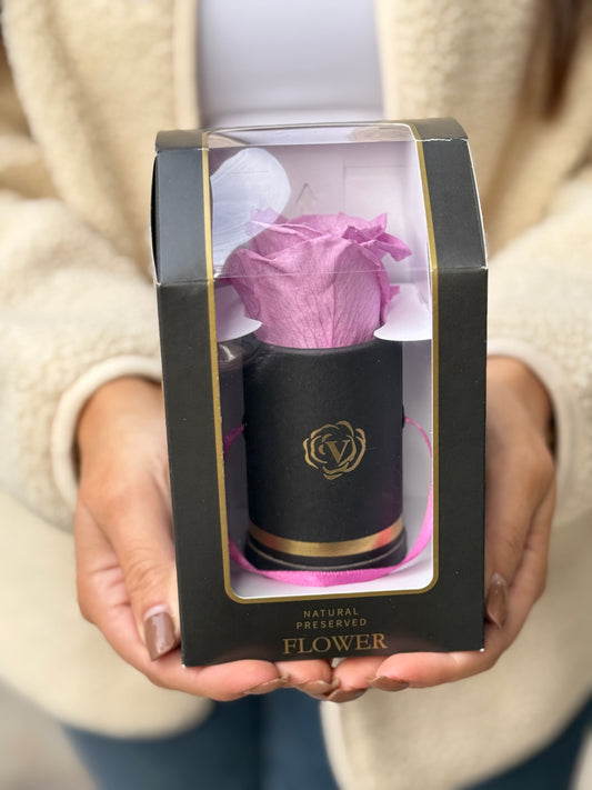 Purple Preserved Rose