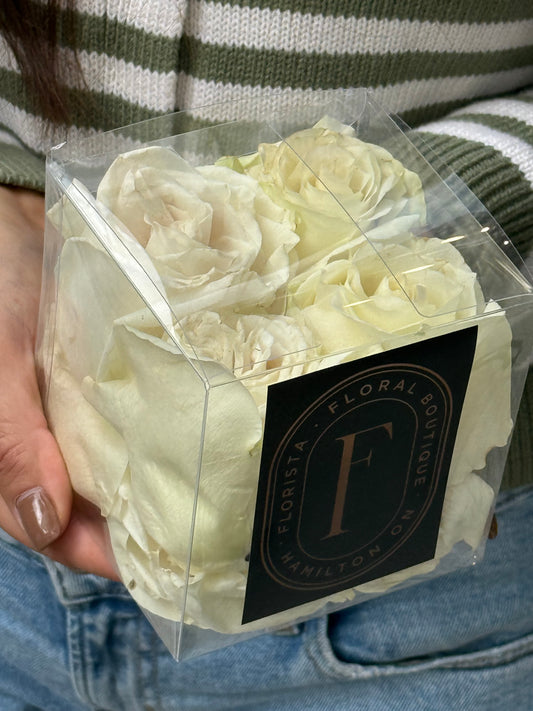 Fresh Rose Petals