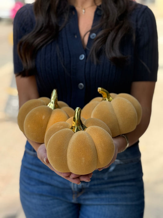 Velvet Harvest Pumpkin