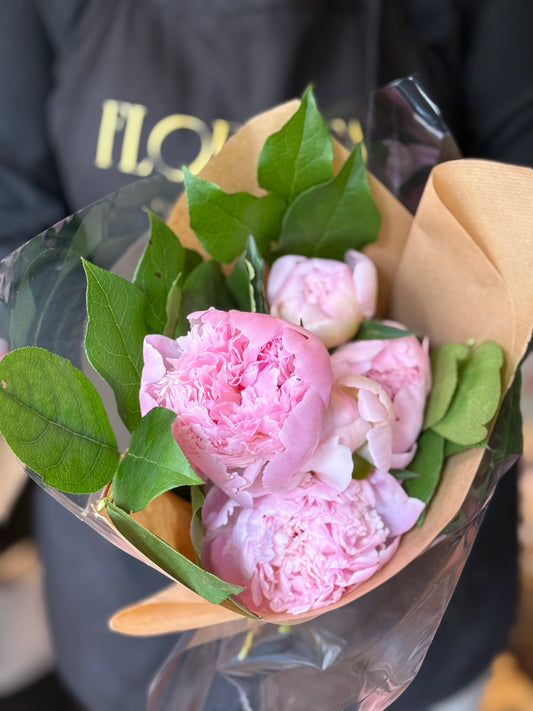 Pretty Peonies