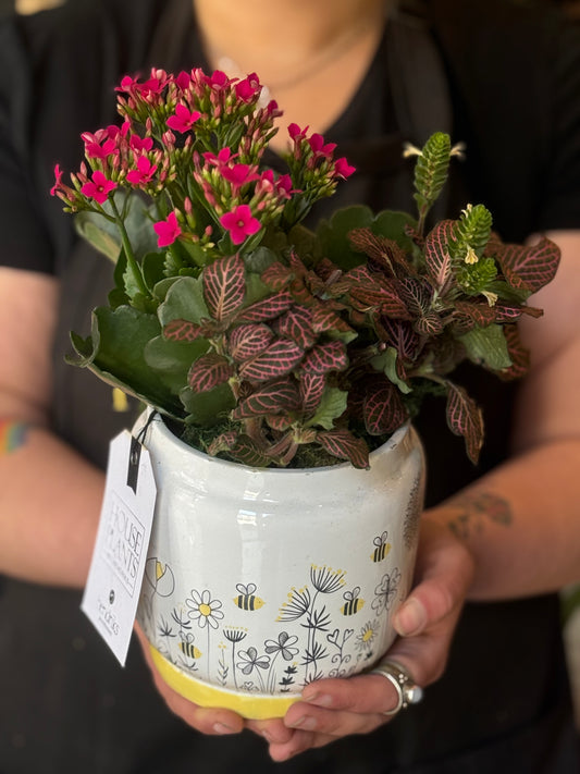Ceramic Spring Pot