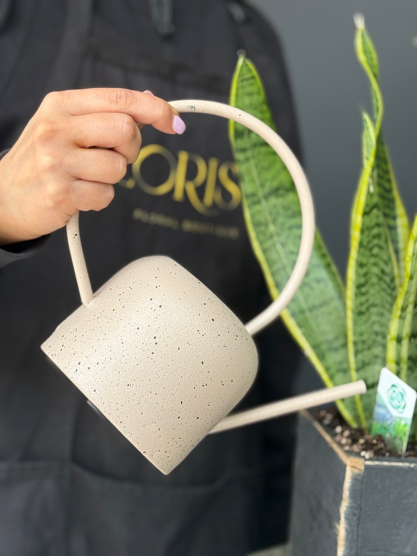 Watering Can